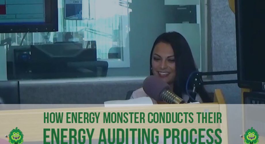 energy auditing process