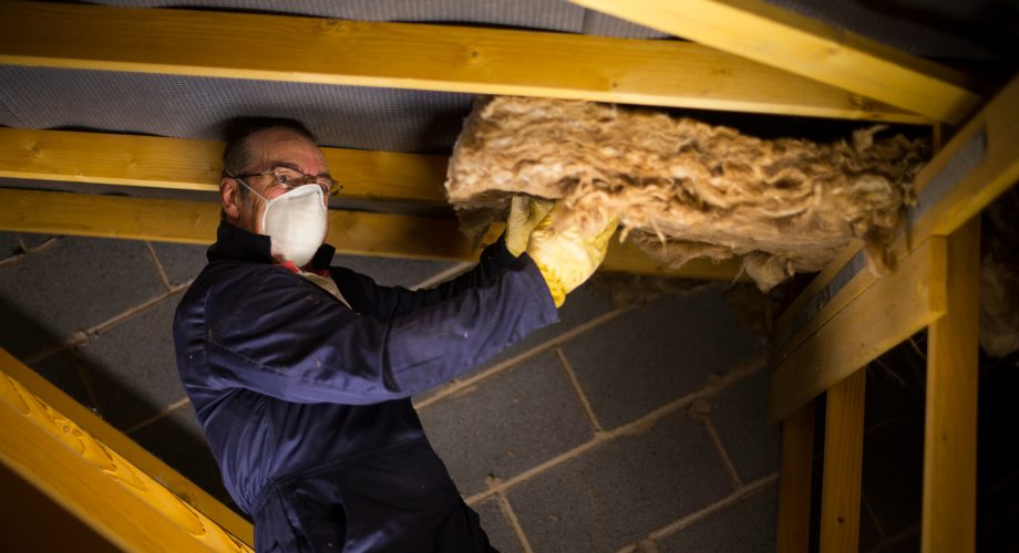 how to prevent insulation mold